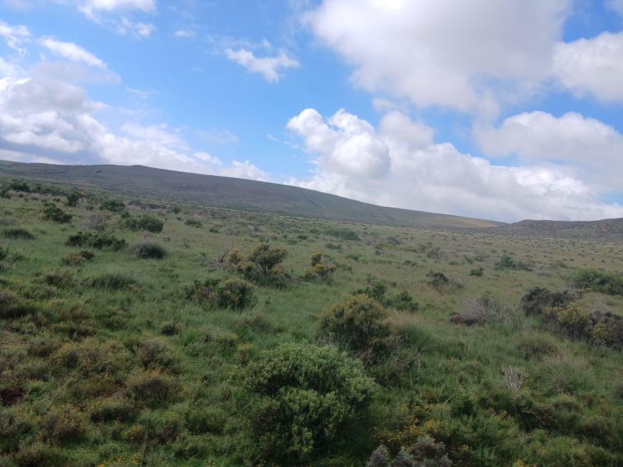 0 Bedroom Property for Sale in Richmond Rural Northern Cape